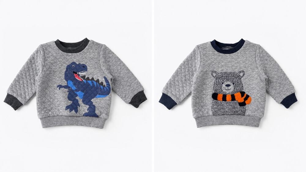 Leo & Luna Boys Sweatshirt Bundle 2 Piece Size 9 Months Dinosaur Bear Grey